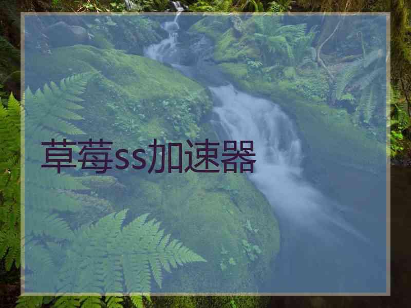 草莓ss加速器