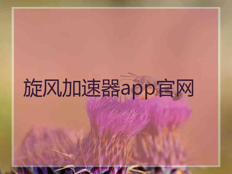 旋风加速器app官网