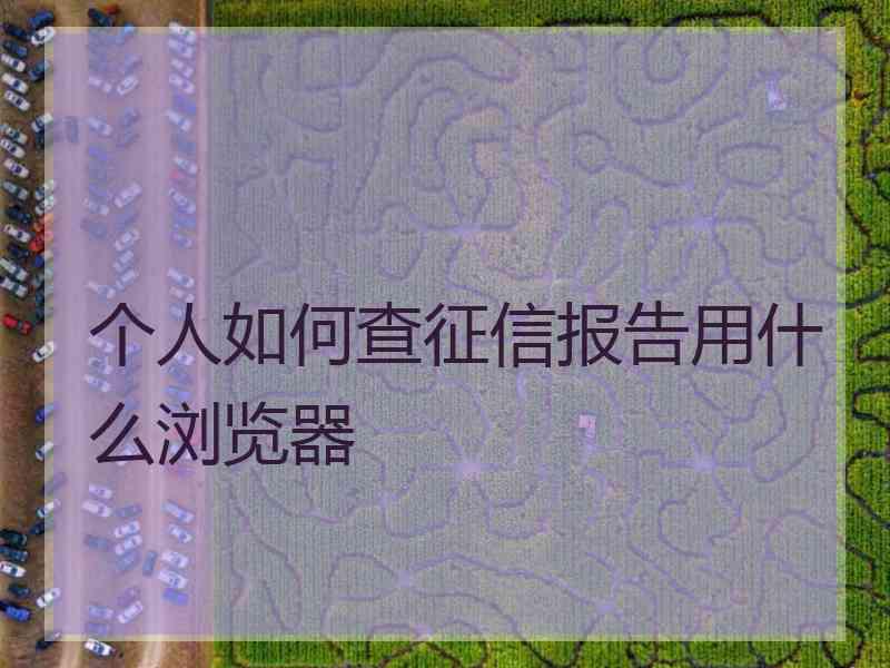 个人如何查征信报告用什么浏览器