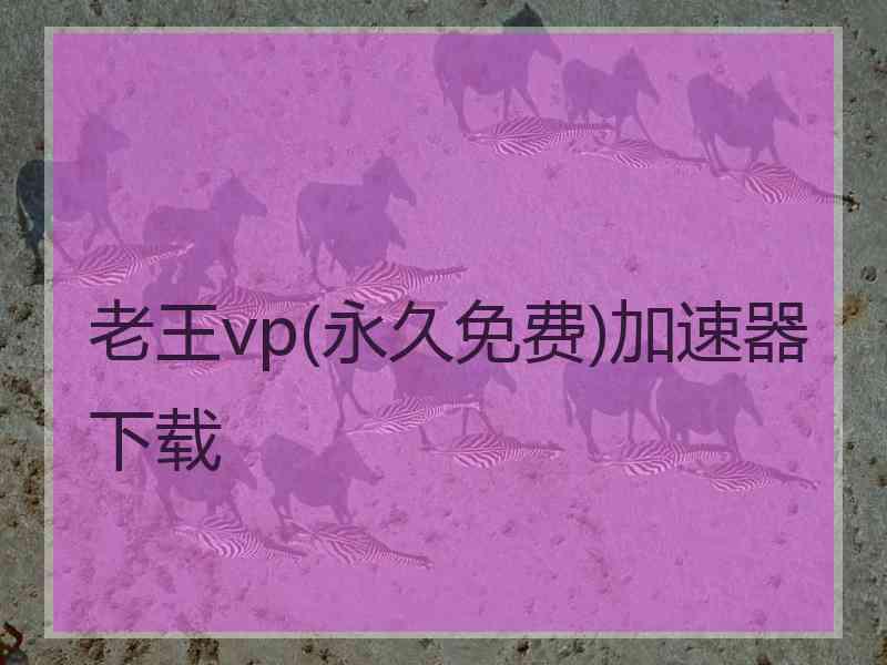 老王vp(永久免费)加速器下载