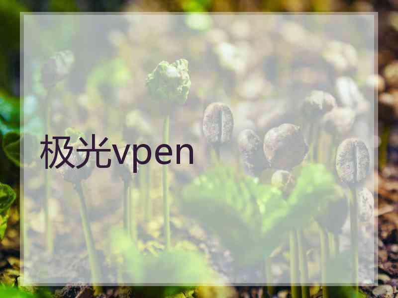 极光vpen