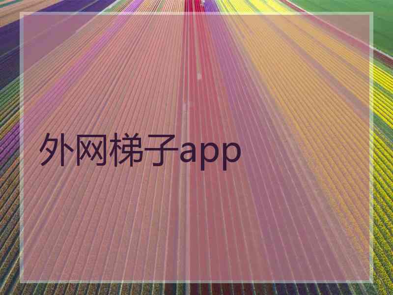 外网梯子app