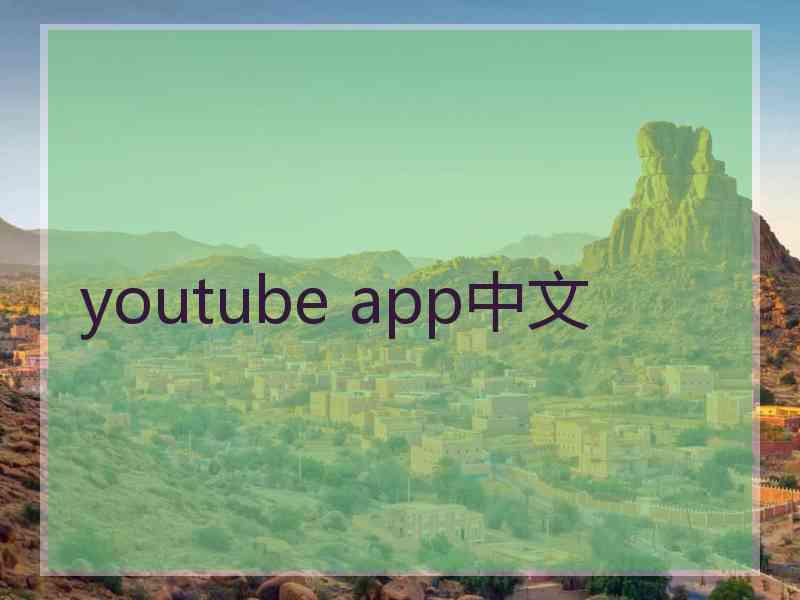 youtube app中文