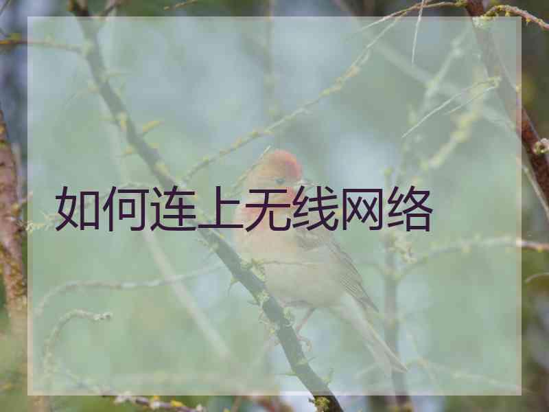 如何连上无线网络