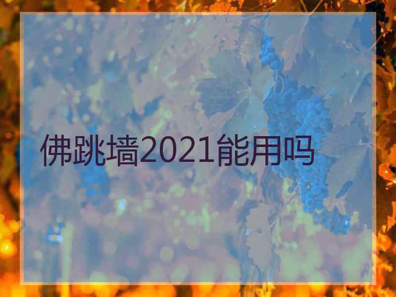 佛跳墙2021能用吗