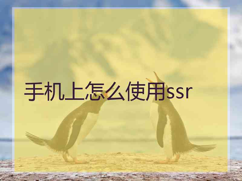 手机上怎么使用ssr