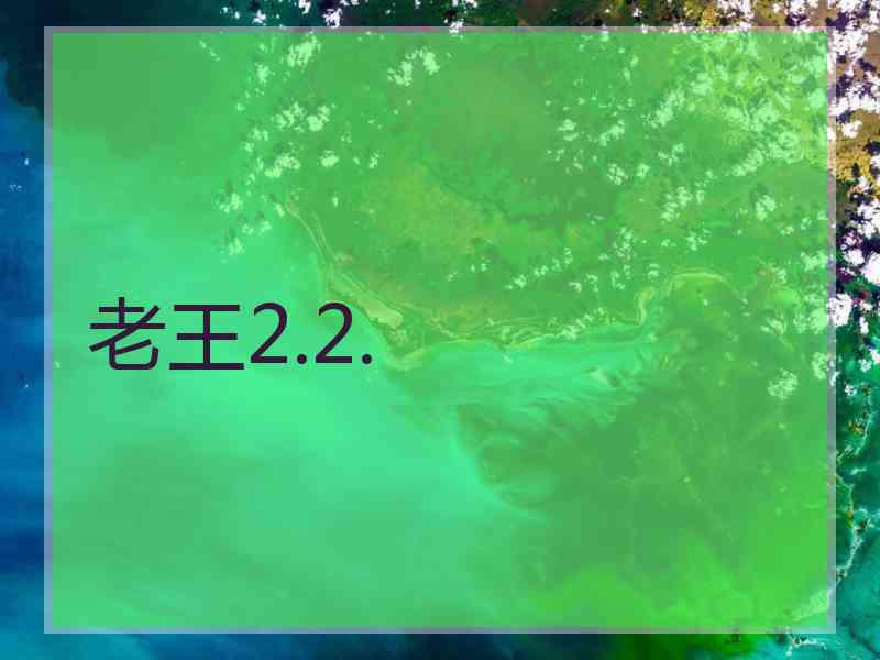 老王2.2.