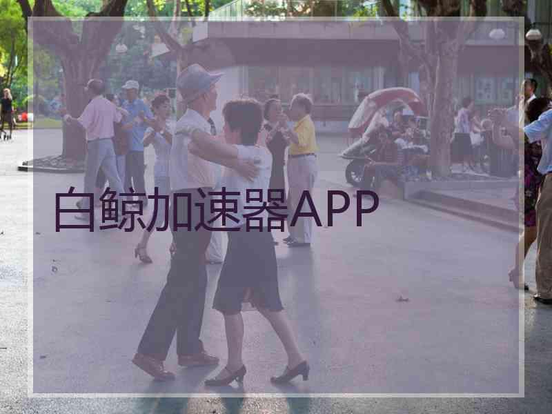 白鲸加速器APP