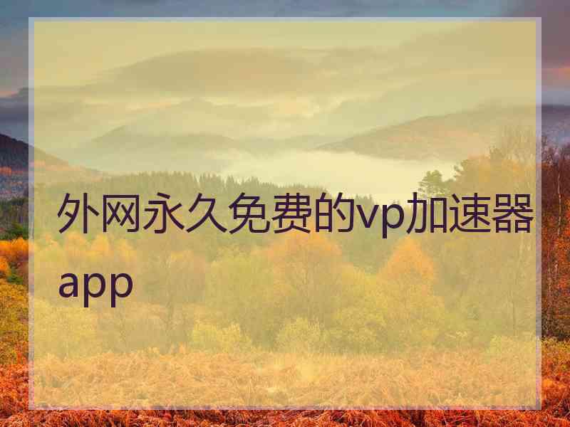 外网永久免费的vp加速器app