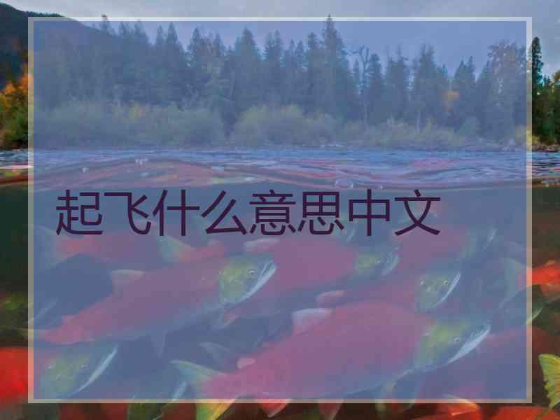 起飞什么意思中文