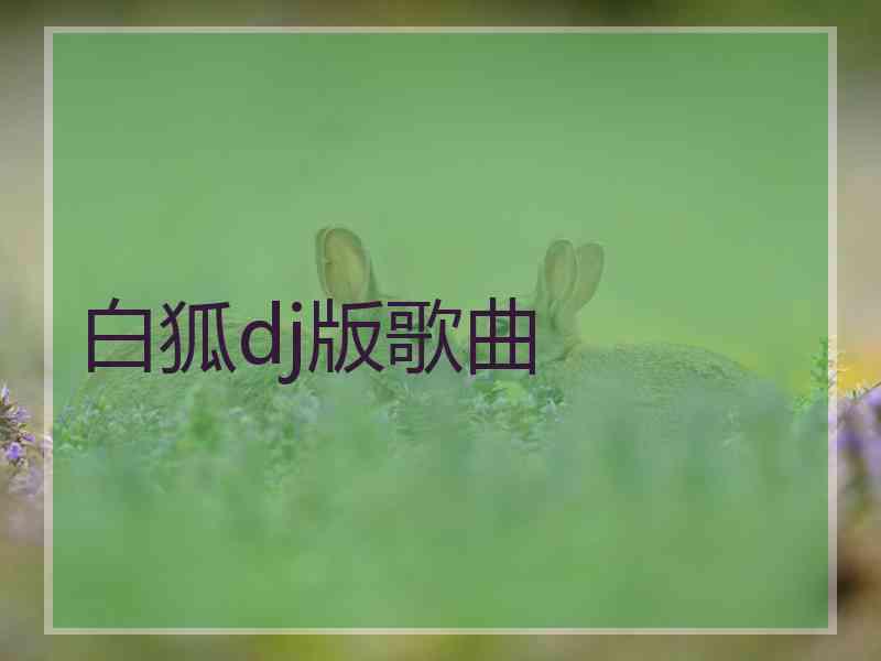 白狐dj版歌曲