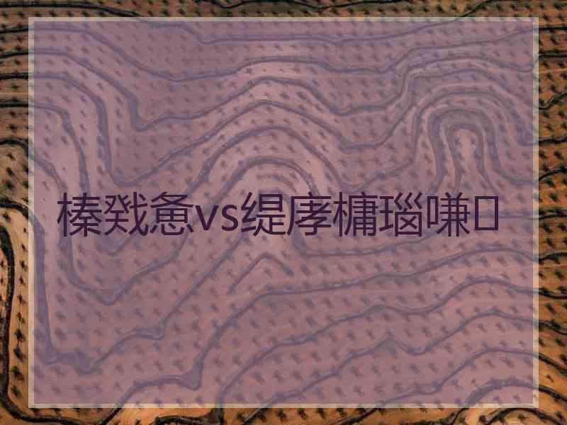 榛戣惫vs缇庨槦瑙嗛