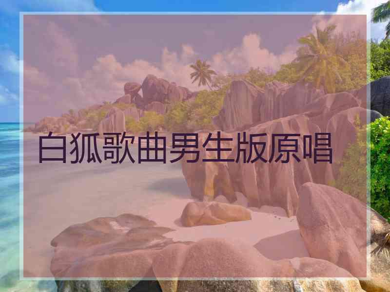 白狐歌曲男生版原唱