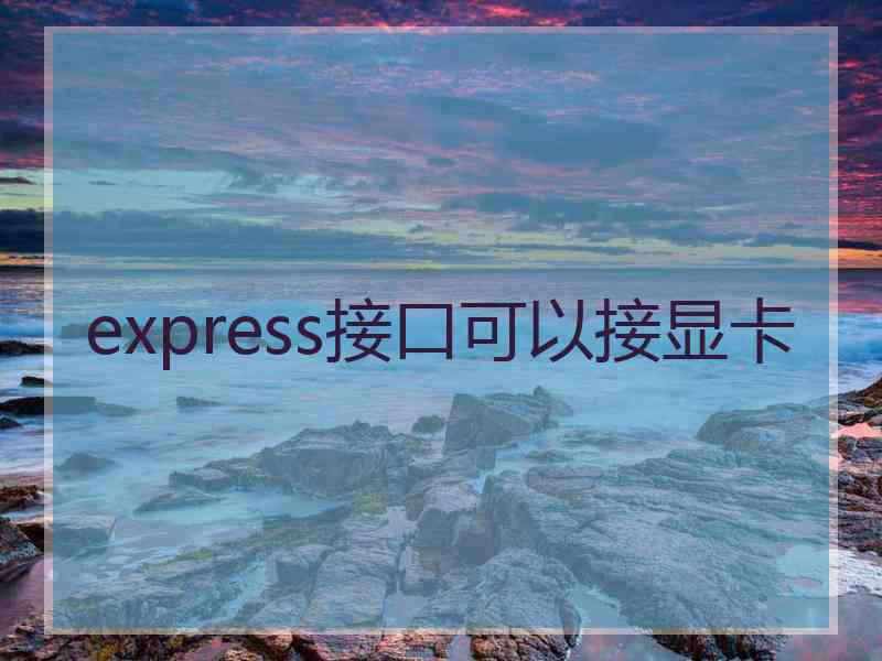 express接口可以接显卡