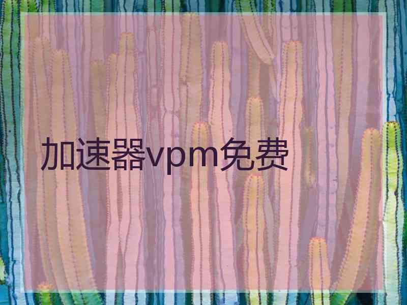 加速器vpm免费