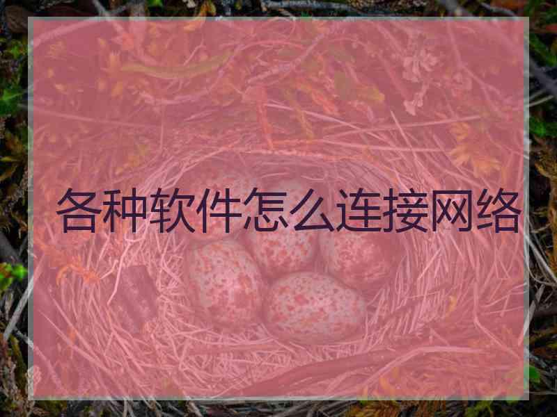 各种软件怎么连接网络