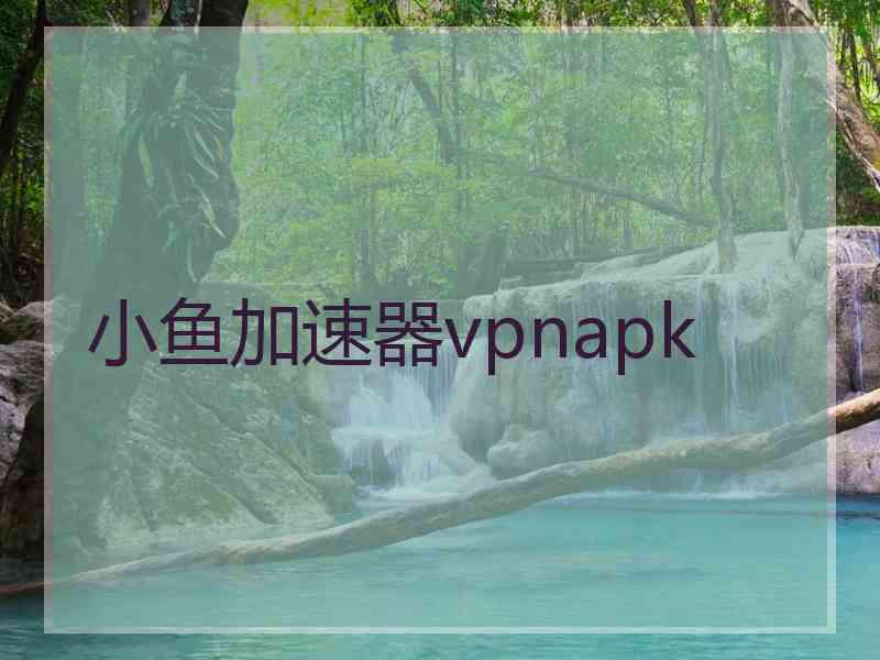 小鱼加速器vpnapk