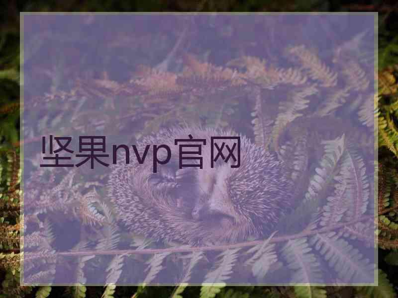 坚果nvp官网