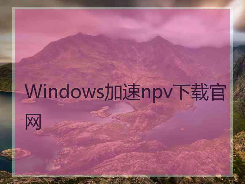 Windows加速npv下载官网