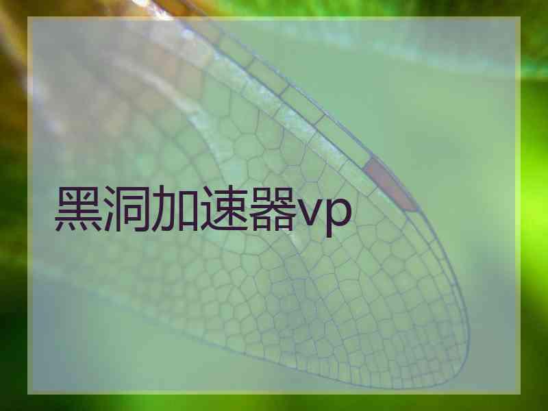 黑洞加速器vp