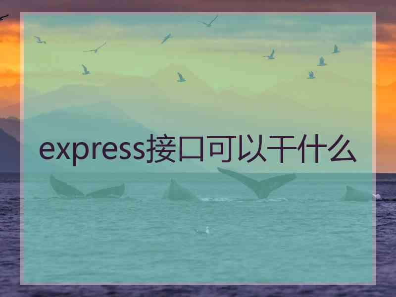 express接口可以干什么