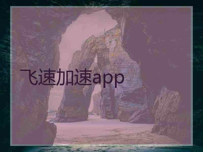 飞速加速app