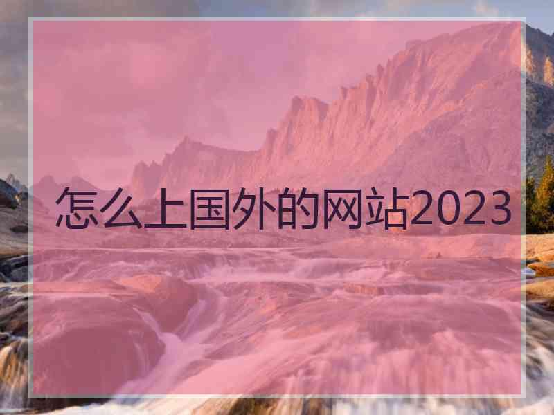 怎么上国外的网站2023