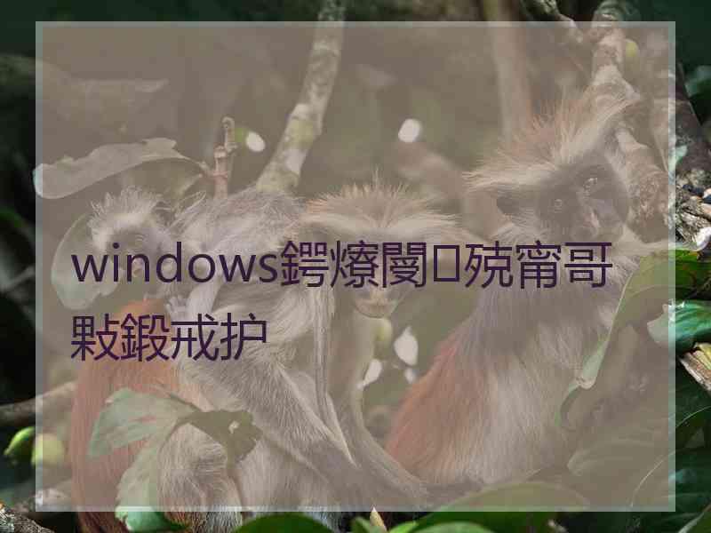 windows鍔爎閿殑甯哥敤鍛戒护