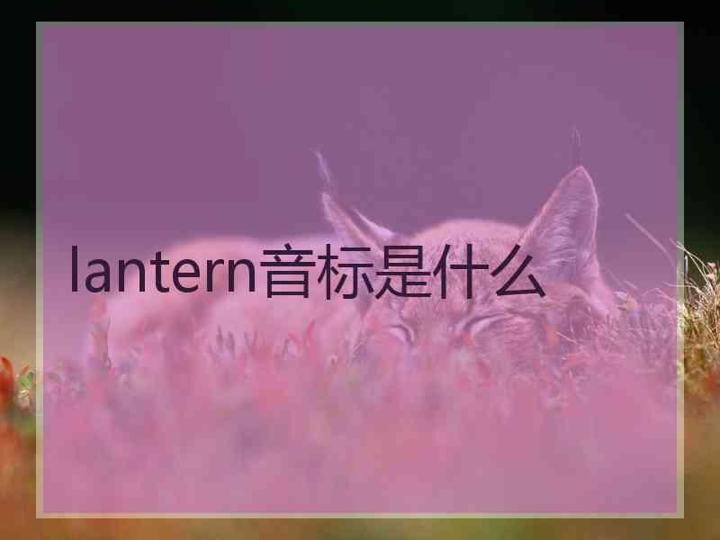 lantern音标是什么