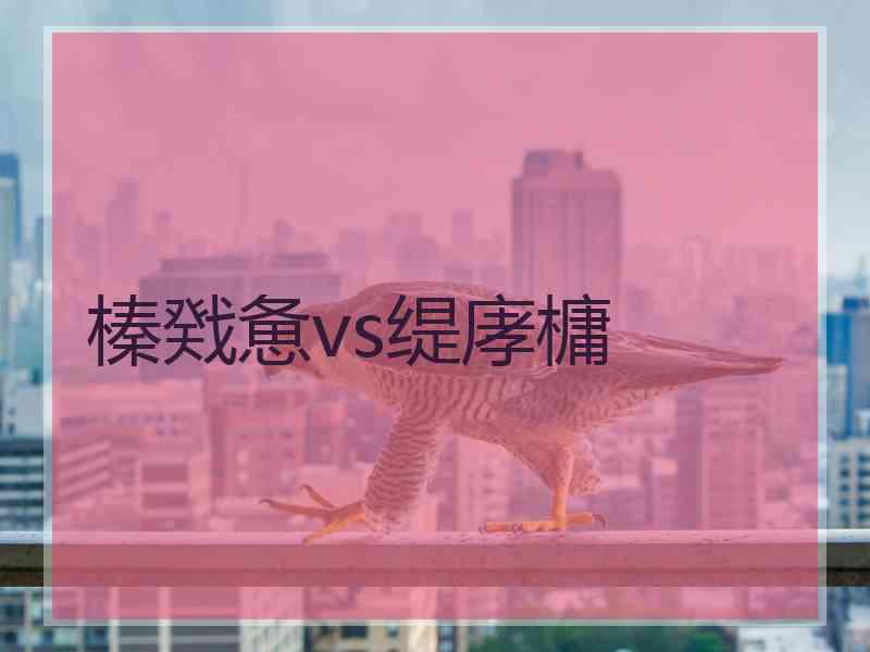 榛戣惫vs缇庨槦