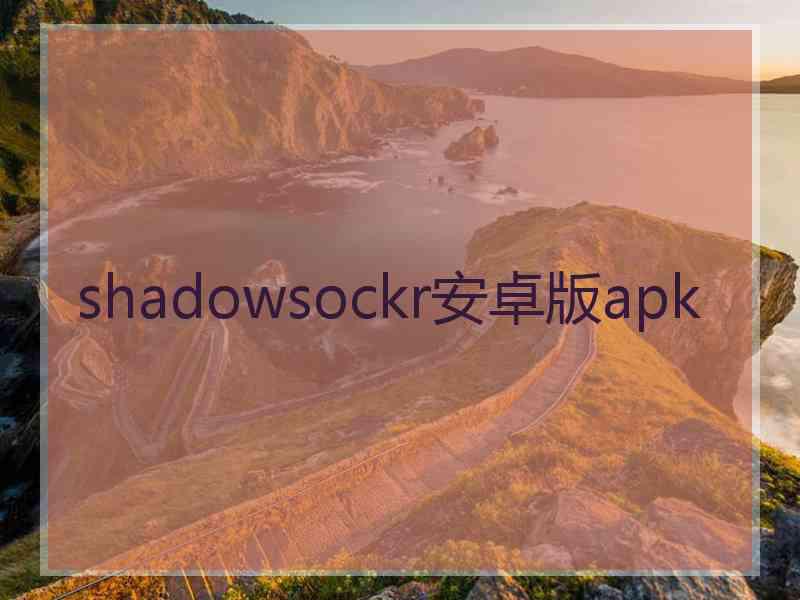 shadowsockr安卓版apk