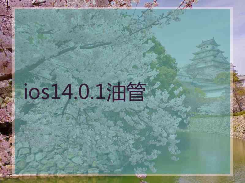 ios14.0.1油管