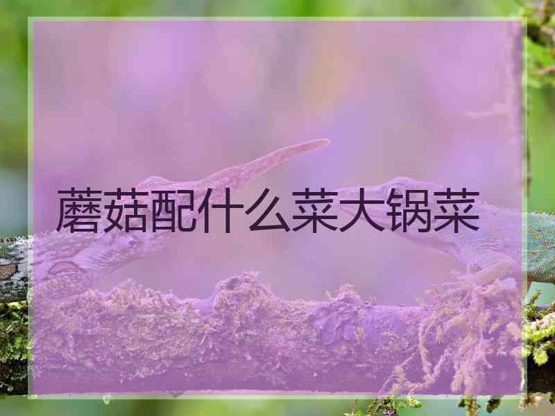 蘑菇配什么菜大锅菜