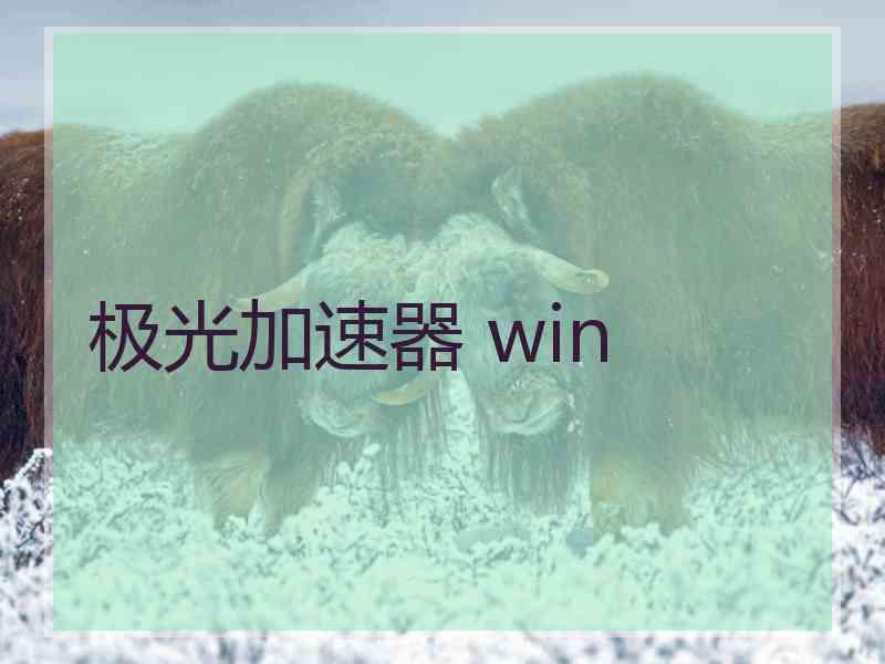 极光加速器 win