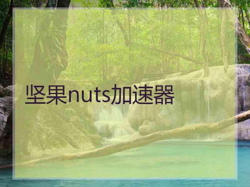 坚果nuts加速器