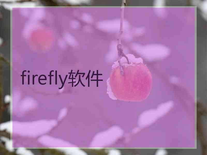 firefly软件