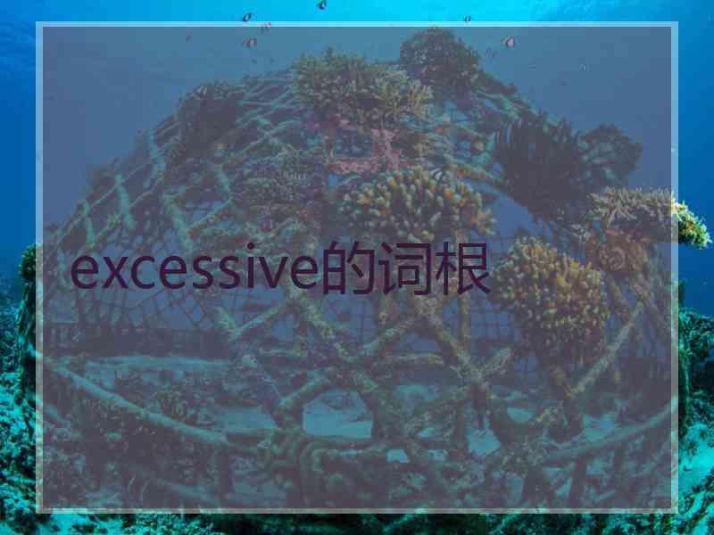 excessive的词根