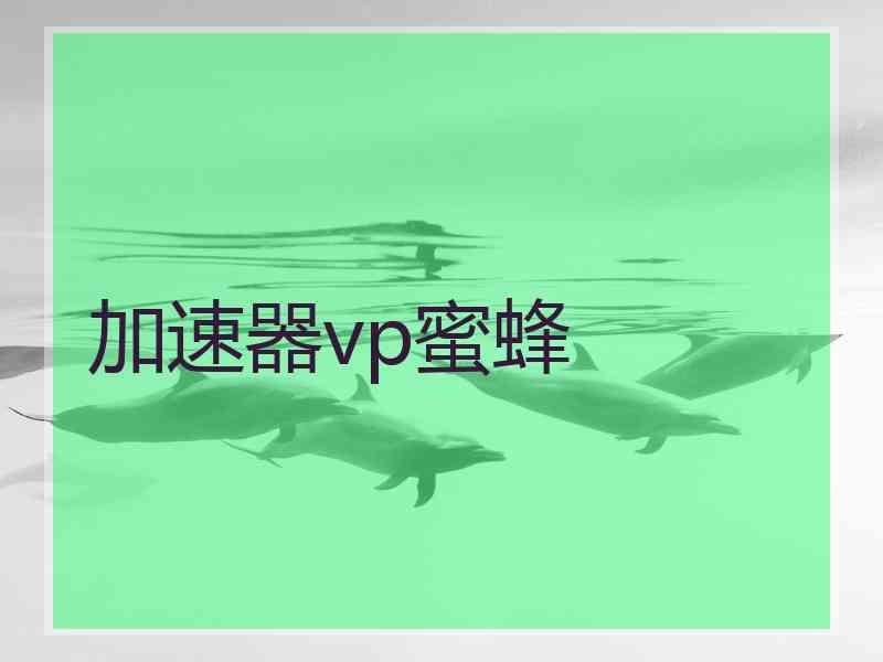 加速器vp蜜蜂