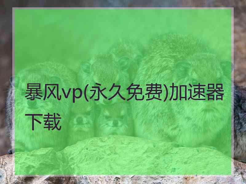 暴风vp(永久免费)加速器下载