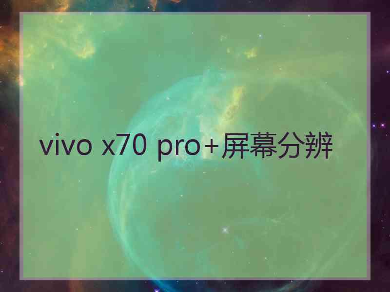 vivo x70 pro+屏幕分辨