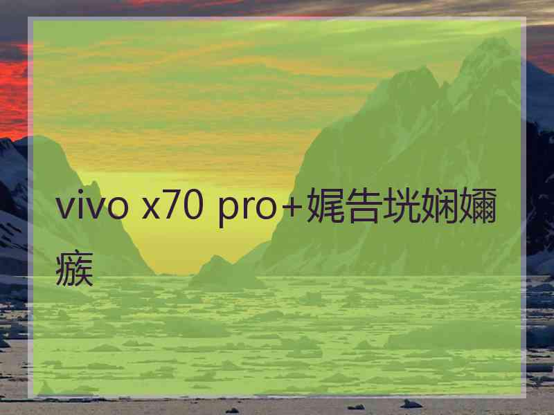 vivo x70 pro+娓告垙娴嬭瘯