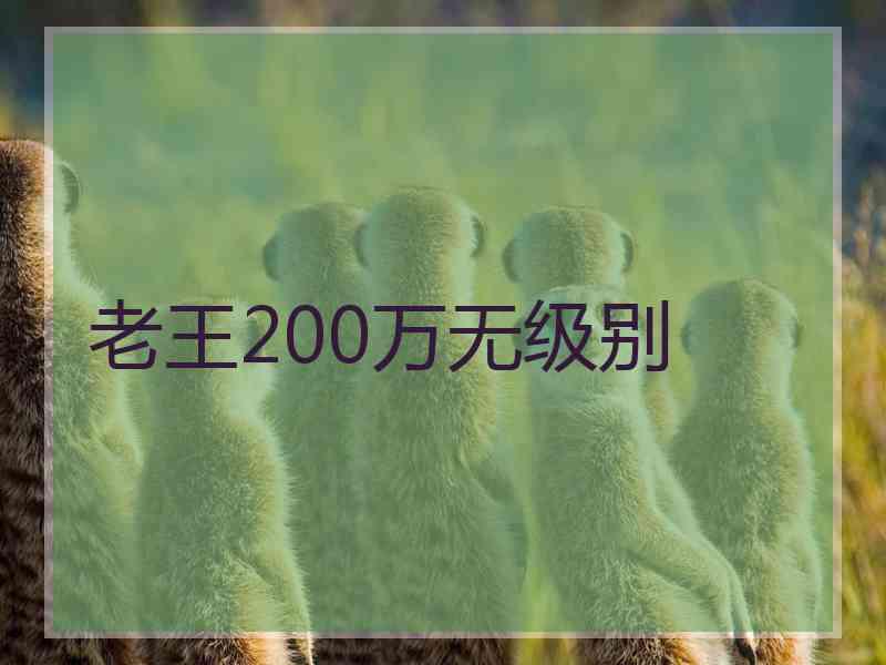 老王200万无级别