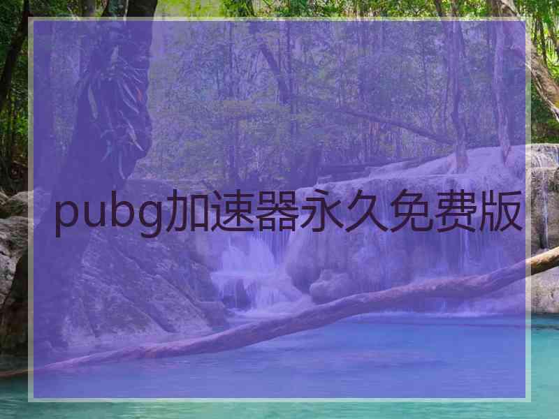 pubg加速器永久免费版