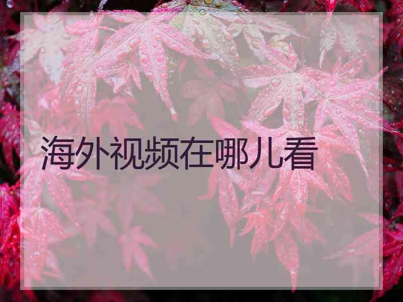 海外视频在哪儿看