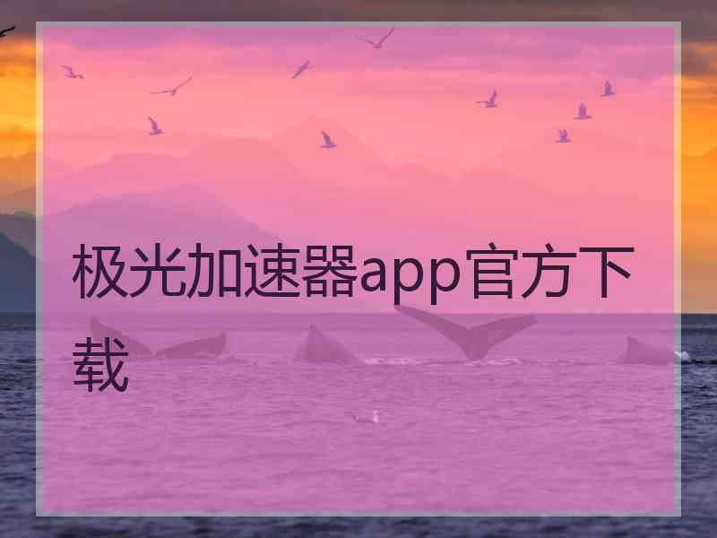 极光加速器app官方下载