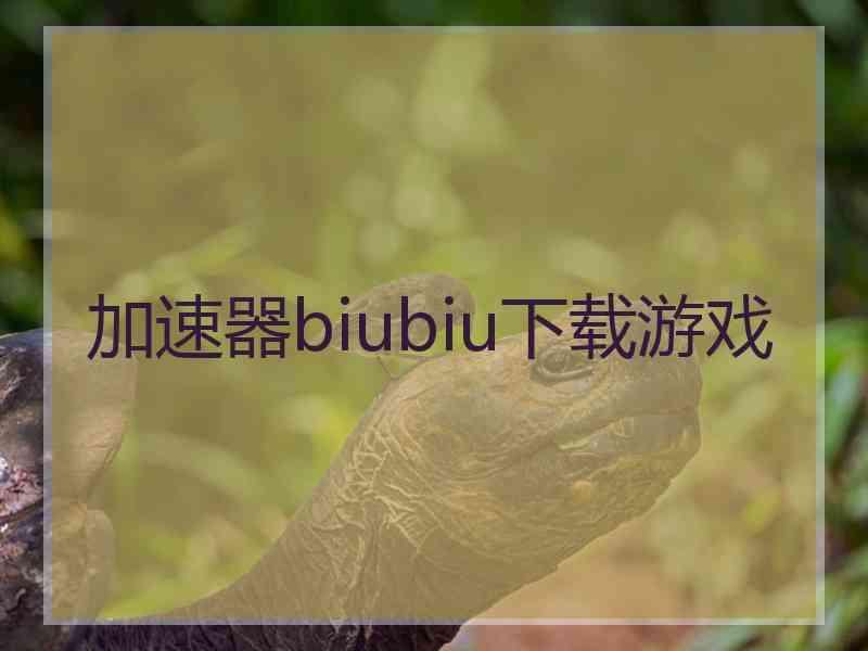 加速器biubiu下载游戏