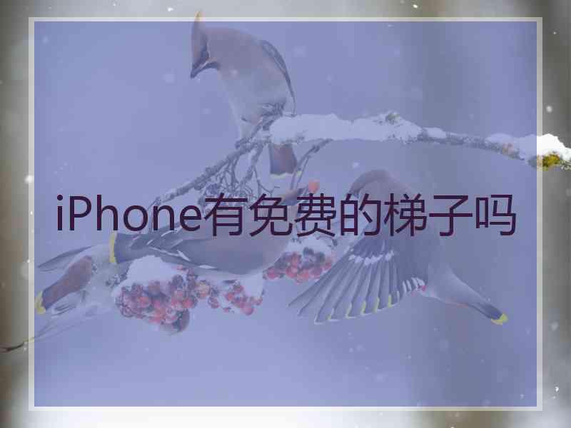 iPhone有免费的梯子吗