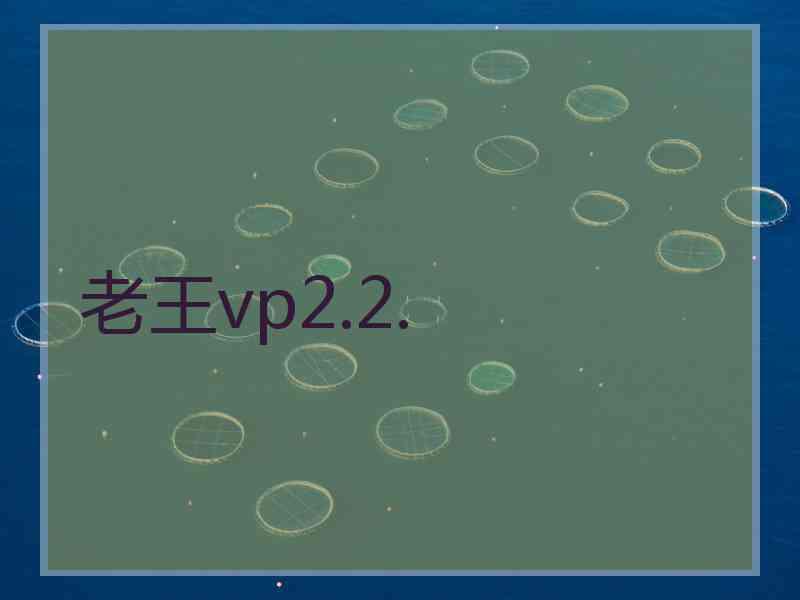 老王vp2.2.