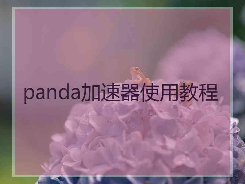 panda加速器使用教程