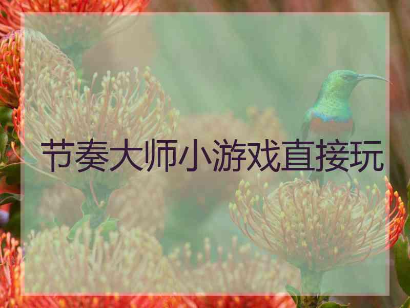 节奏大师小游戏直接玩